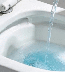 Poucos sabem por que recomendam jogar água sanitária no vaso pelo menos uma vez por semana