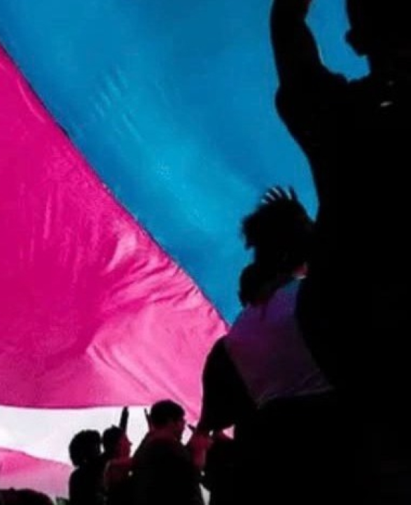 Visibilidade Trans: SP registra alta em mudanças de nome e gênero