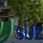 PORTAS FECHADAS E DEMISSÕES: Maior produtora de celulose do mundo anunciou fechamento de operações