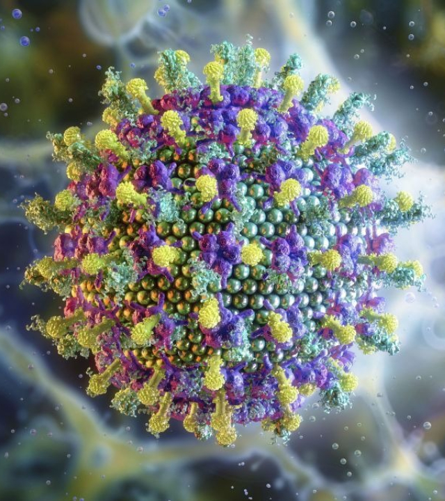 Após casos de Nipah, OMS descarta restrições de viagem à Índia