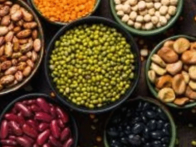 Canelone de Verão: uma receita refrescante, criativa e cheia de sabor. Confira