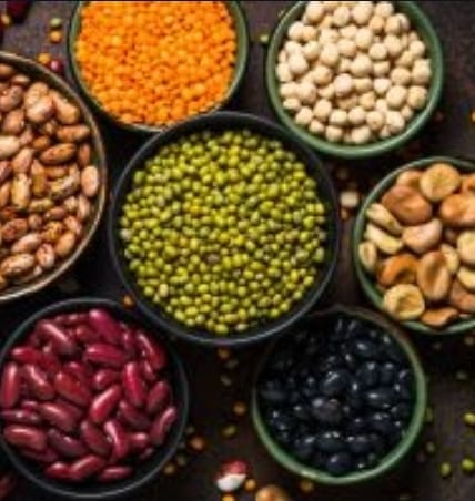 Canelone de Verão: uma receita refrescante, criativa e cheia de sabor. Confira