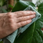 Essa planta tropical purifica o ar e é o segredo dos decoradores para dar vida à sala