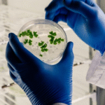 Estes 11 erros te levam ao risco de infecções alimentares, segundo estudo. Hábitos comuns estão por trás de doenças transmitidas por alimentos a até 600 milhões de pessoas. Saiba como comprar, preparar e armazenar corretamente, com cientista responsável pela pesquisa