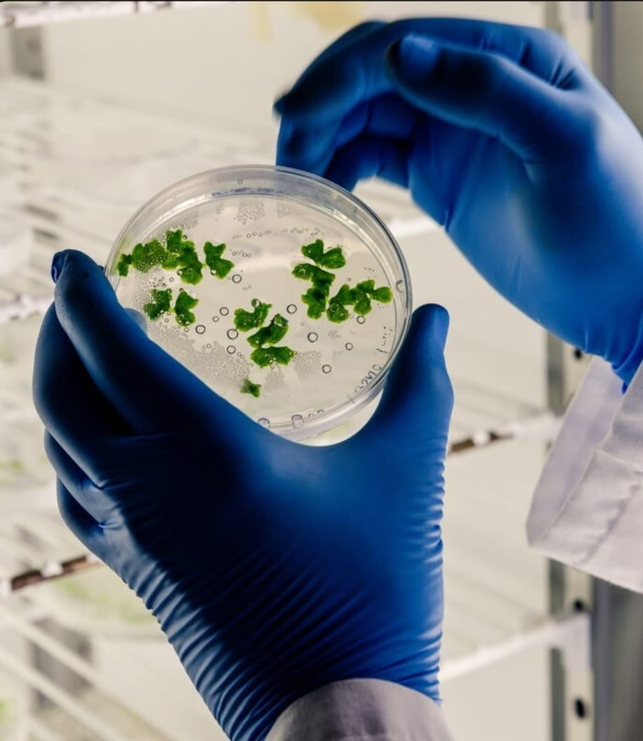 Estes 11 erros te levam ao risco de infecções alimentares, segundo estudo. Hábitos comuns estão por trás de doenças transmitidas por alimentos a até 600 milhões de pessoas. Saiba como comprar, preparar e armazenar corretamente, com cientista responsável pela pesquisa