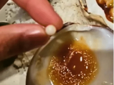 SURPRESA INESPERADA: Durante jantar, homem acha item valioso: ‘A conta se pagou sozinha’