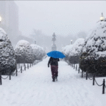O GOLPE CHAMADO MUDANÇAS CLIMÁTICAS