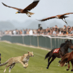 Ele vive no Brasil e é o animal mais rápido já registrado no país, passando de 300 km/h