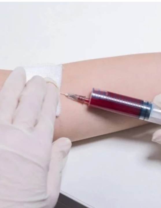 A única parte do corpo humano que não recebe sangue e como ela sobrevive