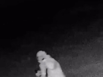 MADRUGADA DE TERROR: Fazenda é invadida por grupo armado ligados a movimentos de esquerda que força o dono a ‘entregar’ propriedade; VEJA VÍDEO