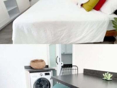 Elon Musk lança casa da Tesla no Brasil por menos de $ 10 mil com 6 painéis solares, bateria Powerwall, geração de 140% da própria energia e reutilização de 98,5% da água