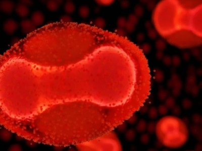 Ameaça global? Três vírus que preocupam especialistas em 2026