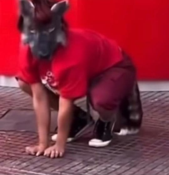 Adolescente que se identifica como therian sofre mordida em praça pública; VEJA VÍDEO