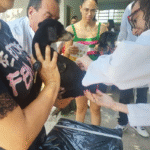 Vacinação antirrábica: UBS Santa Antonieta receberá ação no próximo dia 28 com disponibilização de 400 doses. Somente para cães e gatos com idade superior a três meses. Saiba mais