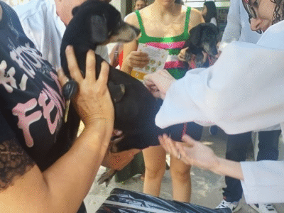 Vacinação antirrábica: UBS Santa Antonieta receberá ação no próximo dia 28 com disponibilização de 400 doses. Somente para cães e gatos com idade superior a três meses. Saiba mais