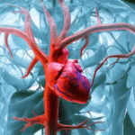 Cardiologista aponta bebidas alcoólicas que acabam com saúde do coração