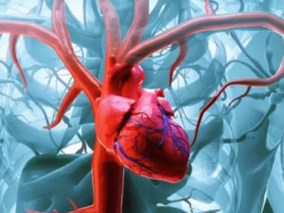 Cardiologista aponta bebidas alcoólicas que acabam com saúde do coração