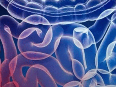 Descoberta inédita: vírus no intestino aumenta risco de câncer colorretal; SAIBA DETALHES