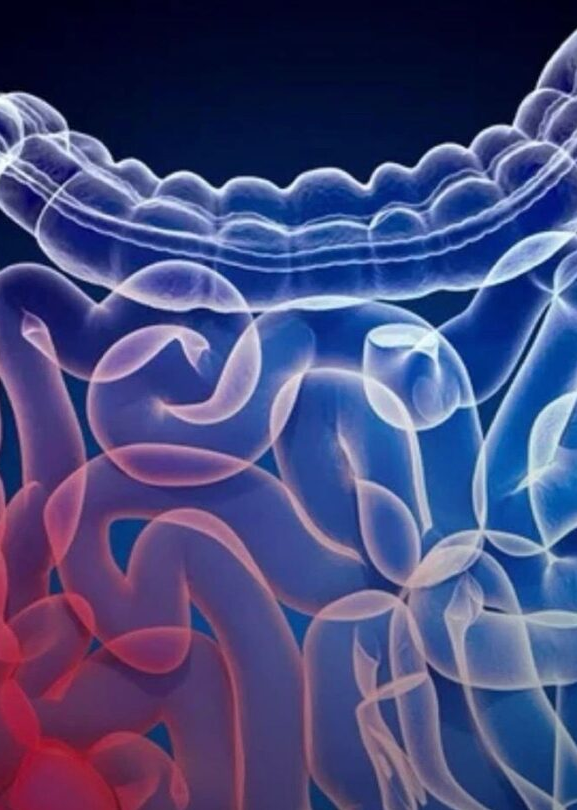 Descoberta inédita: vírus no intestino aumenta risco de câncer colorretal; SAIBA DETALHES