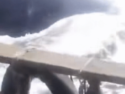 Momento tenso: Baleia persegue barco de pescadores e ataca, VEJA VÍDEO