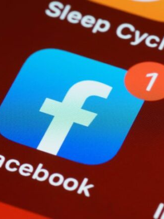 Posts sobre o governo são excluídos por fake news no Instagram e Facebook