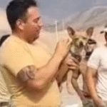 Cachorro sobrevive à queda de helicóptero que m4tou 15 pessoas no Peru