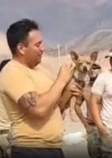 Cachorro sobrevive à queda de helicóptero que m4tou 15 pessoas no Peru