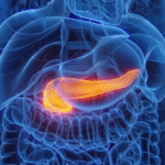 Gastroenterologista lista quais são os sintomas de pâncreas inflamado