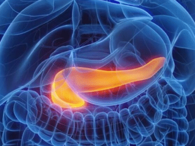 Gastroenterologista lista quais são os sintomas de pâncreas inflamado