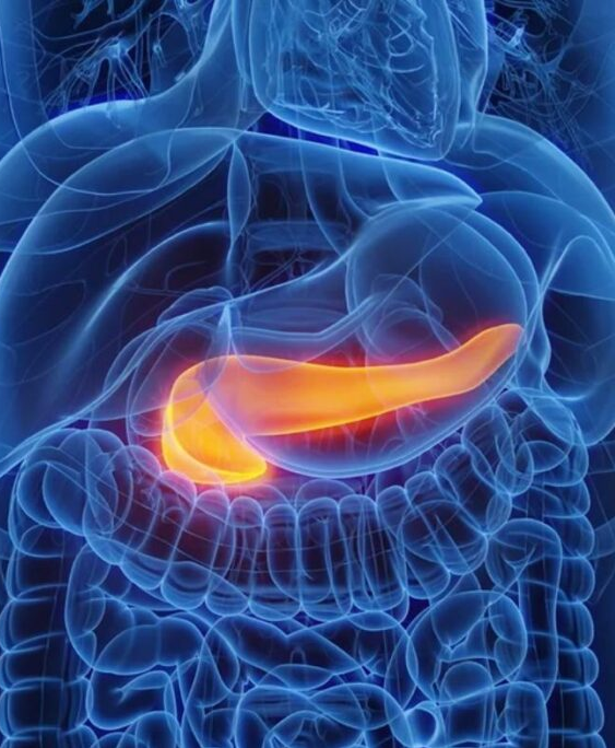 Gastroenterologista lista quais são os sintomas de pâncreas inflamado