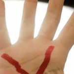 AGORA: Senado aprova criação de ‘crime de vicaricídio’; ENTENDA