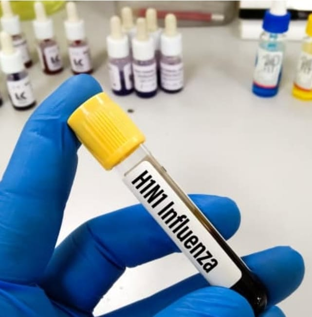 H1N1 está entre vírus furtados na Unicamp, diz site