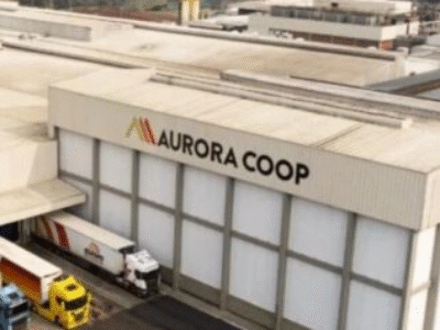 Como agricultores brasileiros construíram gigantes globais