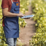 Sebrae abre inscrições para agentes locais de inovação rural. Bolsas chegam a R$ 6,5 mil por mês. São 53 vagas para início imediato e 759 para cadastro reserva. Inscreva-se aqui