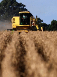 Alerta no campo: setor agro explode e bate recorde histórico com 1.990 pedidos de recuperação judicial em 2025, aponta Serasa