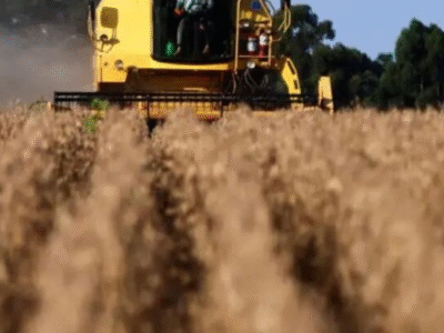 Alerta no campo: setor agro explode e bate recorde histórico com 1.990 pedidos de recuperação judicial em 2025, aponta Serasa