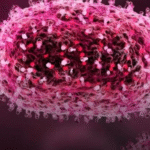 ALERTA! Aumenta número de casos confirmados de Mpox em 2026 no Brasil; VEJA