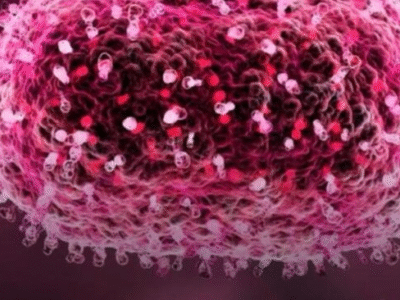 ALERTA! Aumenta número de casos confirmados de Mpox em 2026 no Brasil; VEJA