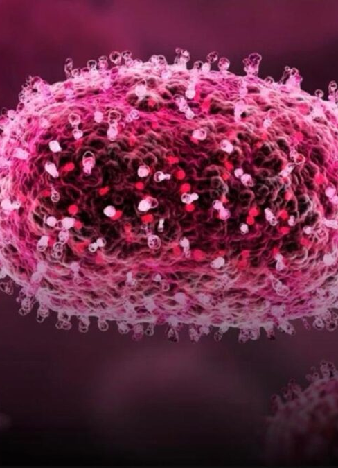 ALERTA! Aumenta número de casos confirmados de Mpox em 2026 no Brasil; VEJA
