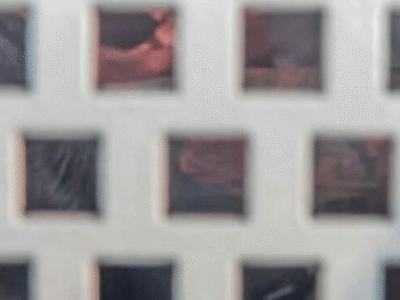 STF: ala política teme delação e segue votação sobre Vorcaro com Lupa