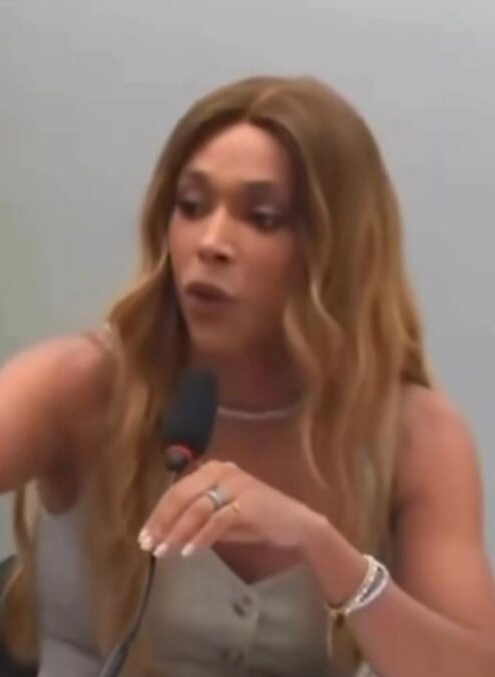 CONFRONTO: Erika Hilton fecha microfone de deputada Júlia Zanatta em sessão; VEJA VÍDEO