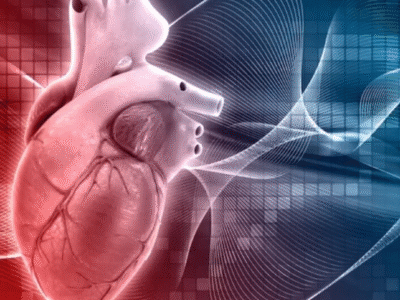 Correr maratona não prejudica o coração a longo prazo, aponta pesquisa da Suíça, Alemanha e dos Estados Unidos. Isso, mesmo com alterações transitórias no coração logo após a prova, incluindo aumento da troponina. Entenda e compartilhe
