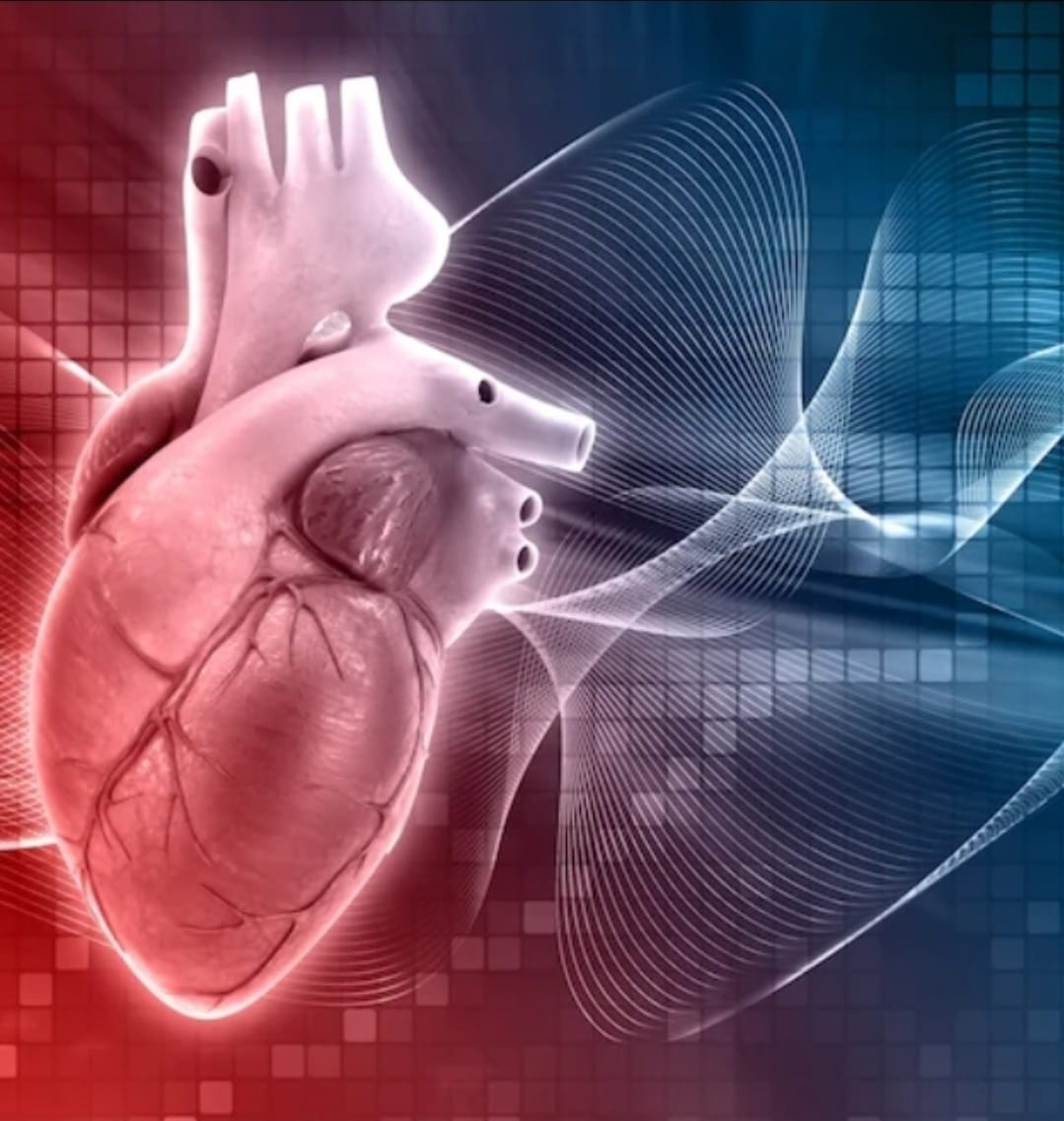 Correr maratona não prejudica o coração a longo prazo, aponta pesquisa da Suíça, Alemanha e dos Estados Unidos. Isso, mesmo com alterações transitórias no coração logo após a prova, incluindo aumento da troponina. Entenda e compartilhe