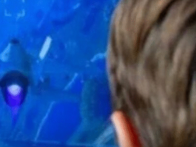 Maratona gamer acaba em morte após complicação cerebral inesperada