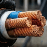 Carros elétricos têm novo problema que preocupa donos além da falta de carregadores