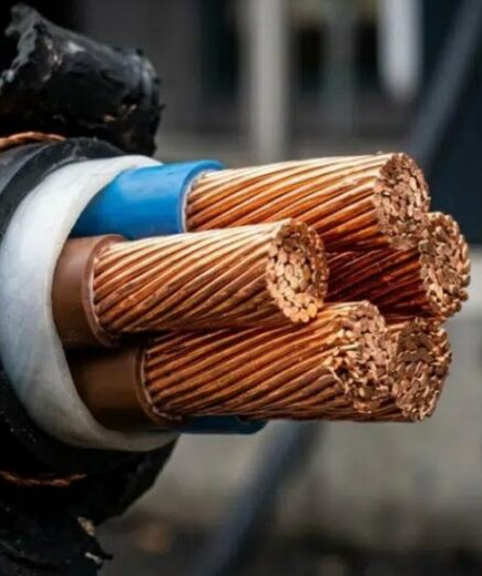 Carros elétricos têm novo problema que preocupa donos além da falta de carregadores