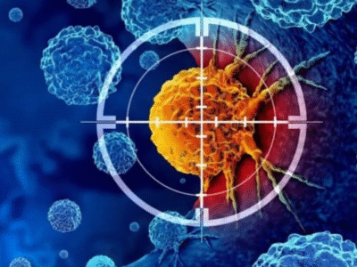 Molécula ‘espelho’ pode frear células cancerígenas sem afetar tecidos saudáveis