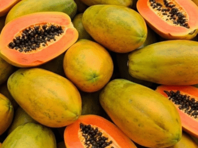 Pesquisa testa mamão como anticoncepcional masculino