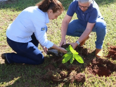 HBU e Prefeitura de Echaporã realizam plantio de mudas frutíferas na UPA. iniciativa que une cuidado com a saúde e preservação ambiental