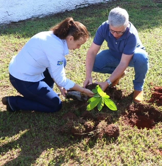 HBU e Prefeitura de Echaporã realizam plantio de mudas frutíferas na UPA. iniciativa que une cuidado com a saúde e preservação ambiental